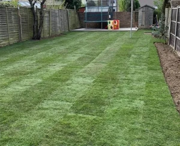 Freshly mowed residential backyard with striped lawn, wooden fences, and play equipment in the background