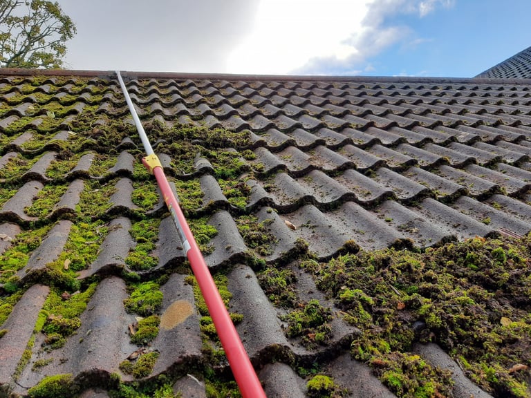 Moss-covered roof tiles with a pink gutter tool and blue sky visible, showing algae growth on dark tile surface