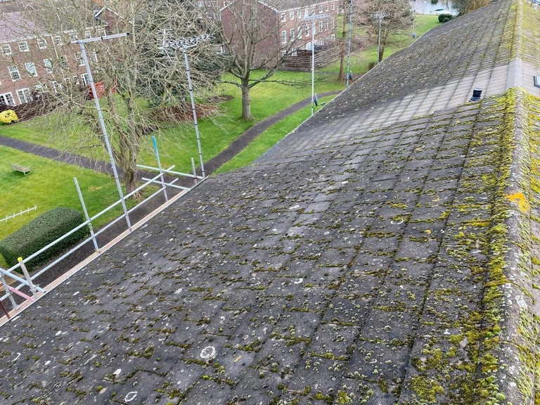 Elevated view of a brick or stone pathway with moss growth, overlooking a park area with trees and buildings in the background