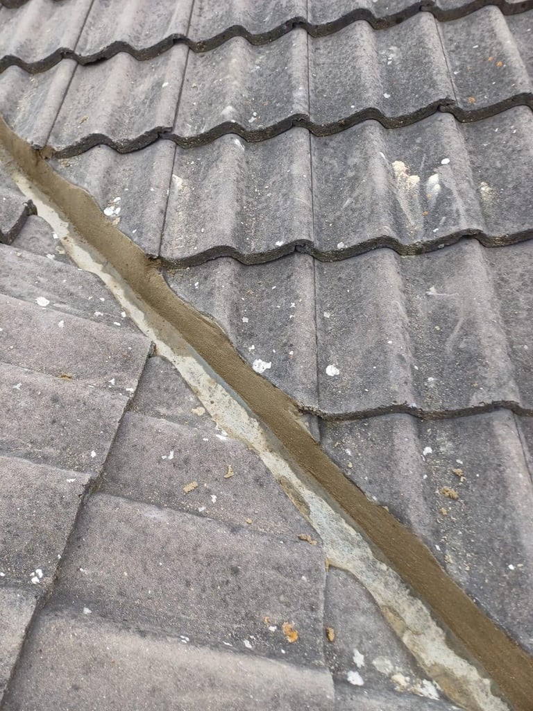 Close-up of weathered gray roof tiles with moss, lichen, and debris accumulation along a metal gutter edge